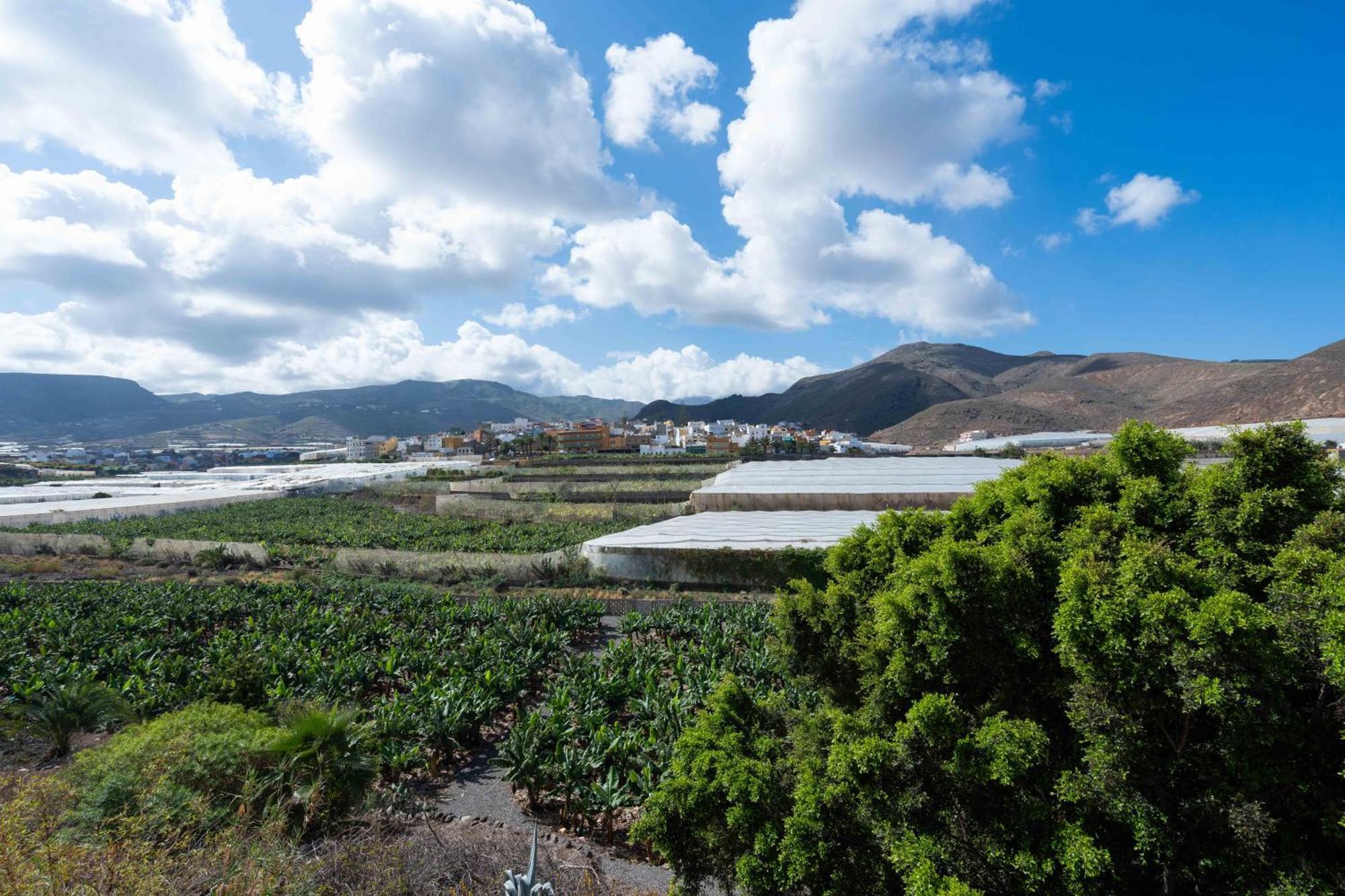 Las Fajanas De Galdar Las Palmas de Gran Canaria Extérieur photo